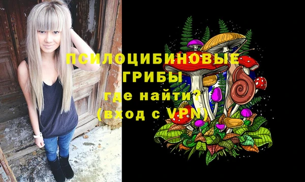 каннабис Богородицк