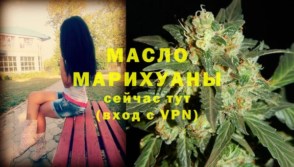 spice Бородино