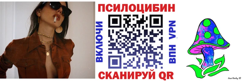 Галлюциногенные грибы Psilocybine cubensis  shop Telegram  Верещагино  купить  